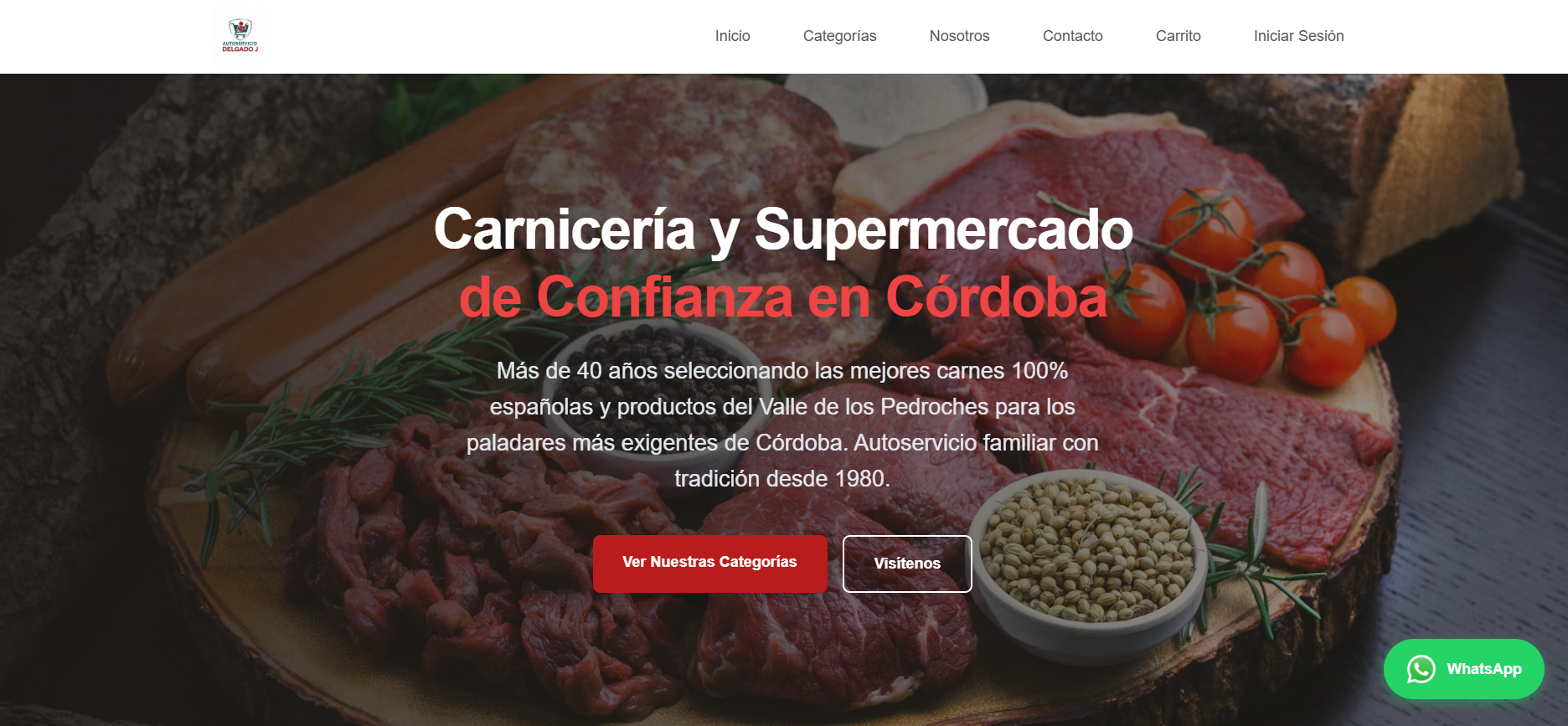 Diseño web para empresa en Córdoba - cocoWeb